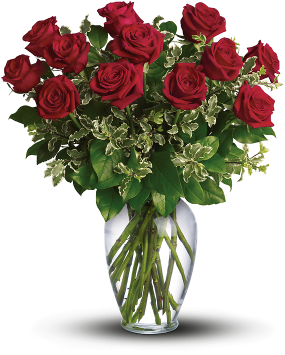 Always on My Mind - One dozen Long Stemmed Red Roses