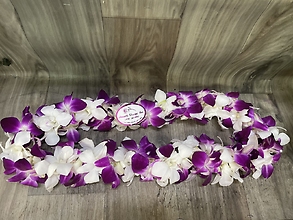 Purple/White orchid lei