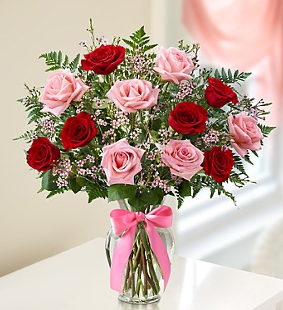 Shades of Pink and Red Premium Long Stem Roses