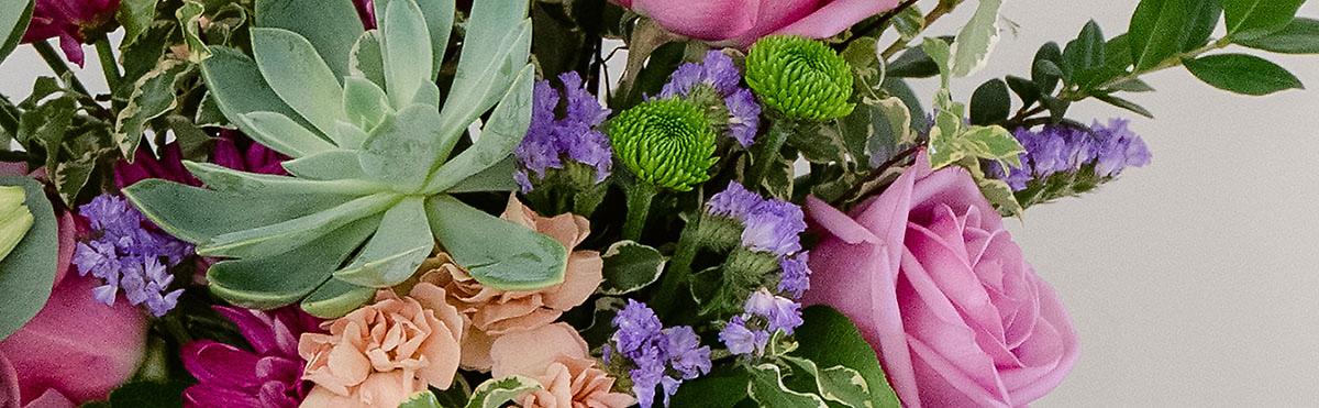 Admin Professional Week