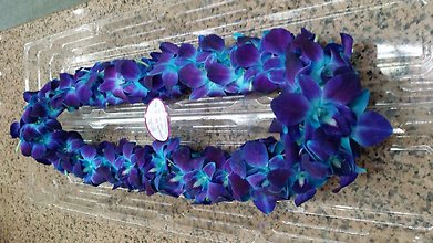 Blue Orchid Lei