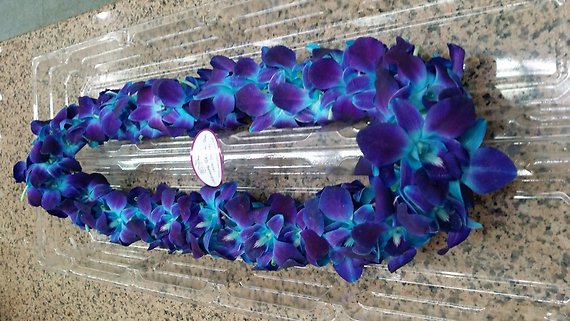 Blue Orchid Lei