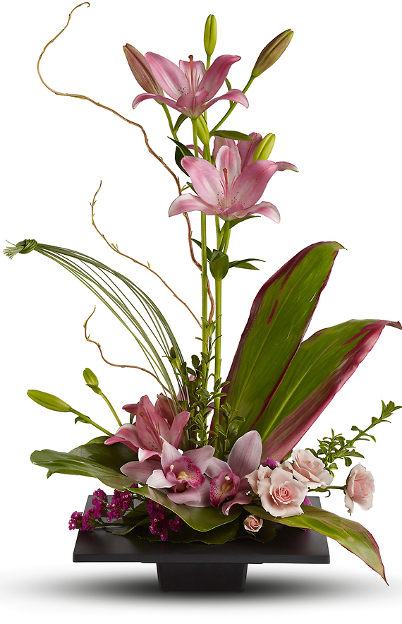 Imagination Blooms with Cymbidium Orchids