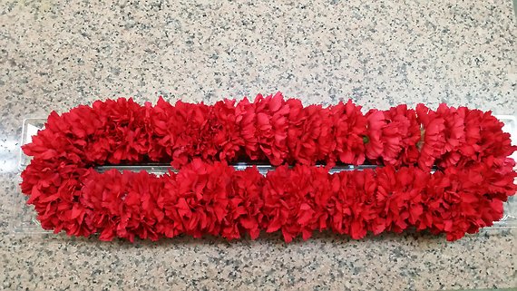 Way To Go Red Carnation Lei