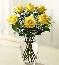 Love\'s Embrace Roses – Yellow