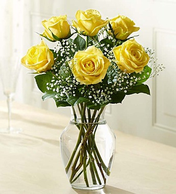 Love\'s Embrace Roses – Yellow