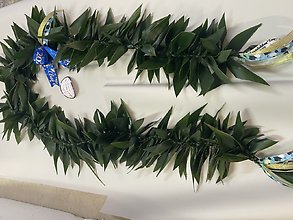 Best wishes T-Leaf Lei