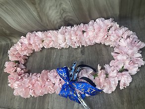 Pink Carnations lei
