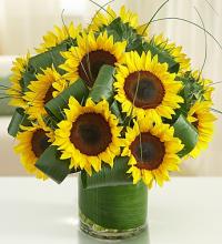 Sun-Sational Sunflowers&trade;
