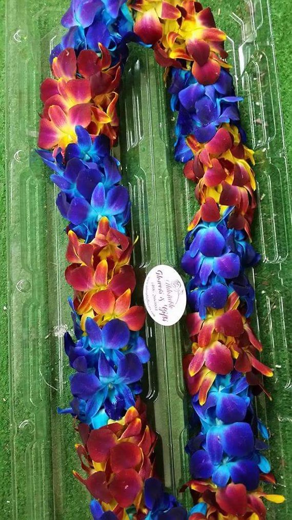 Blue and sunset orchid Lei
