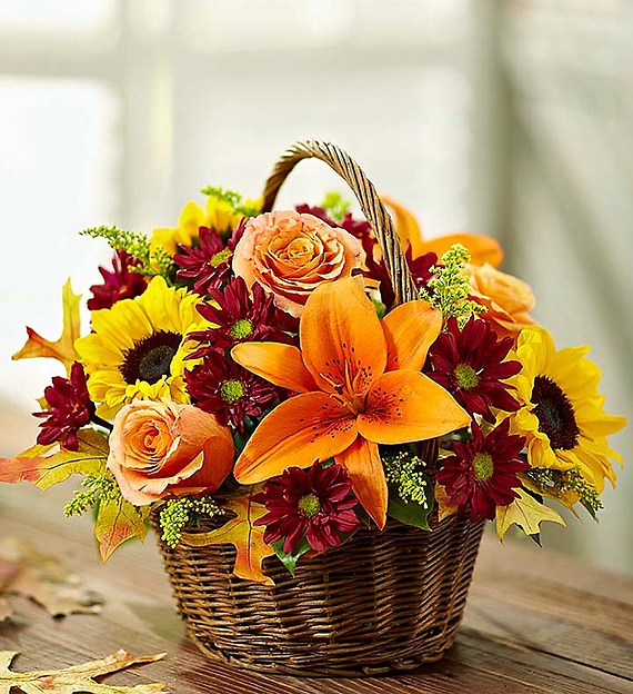 Fields of Europe for Fall Basket