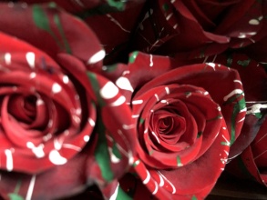 Confetti Red Roses vase