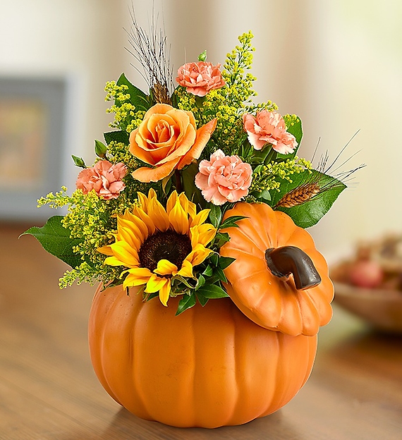 Pumpkin n’ Posies