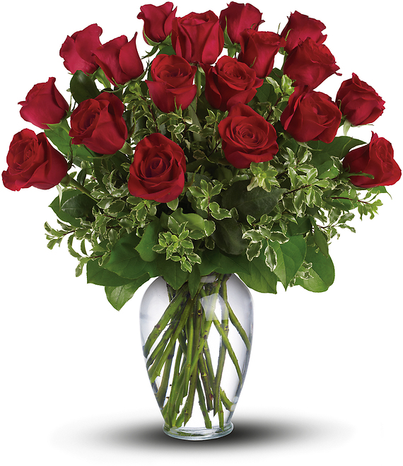 Always on My Mind PM - One dozen Long Stemmed Red Roses