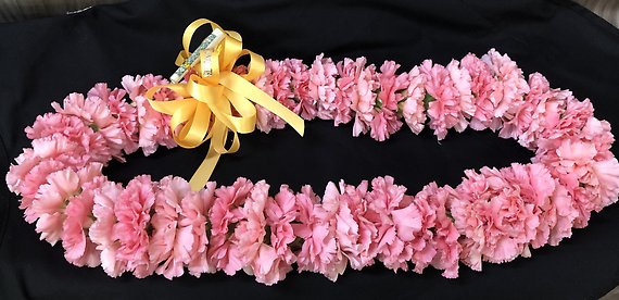 Carnation lei - pink