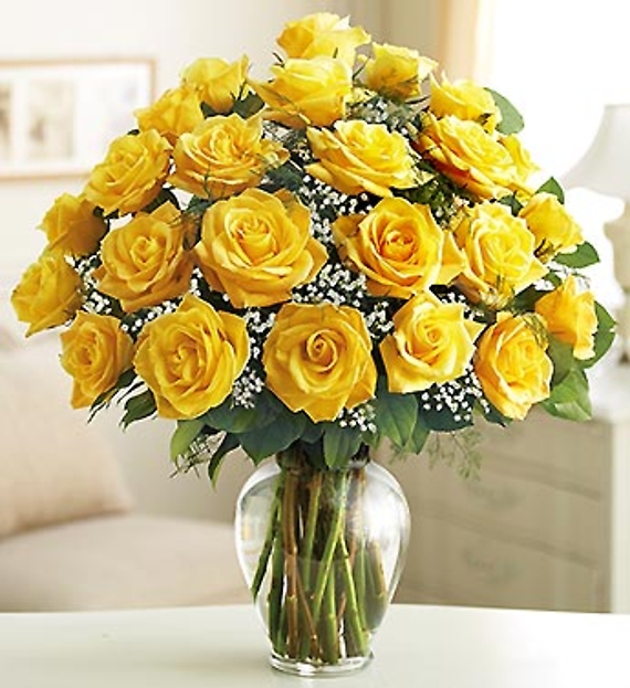 Elegance Long Stem Yellow Roses -2 dozen