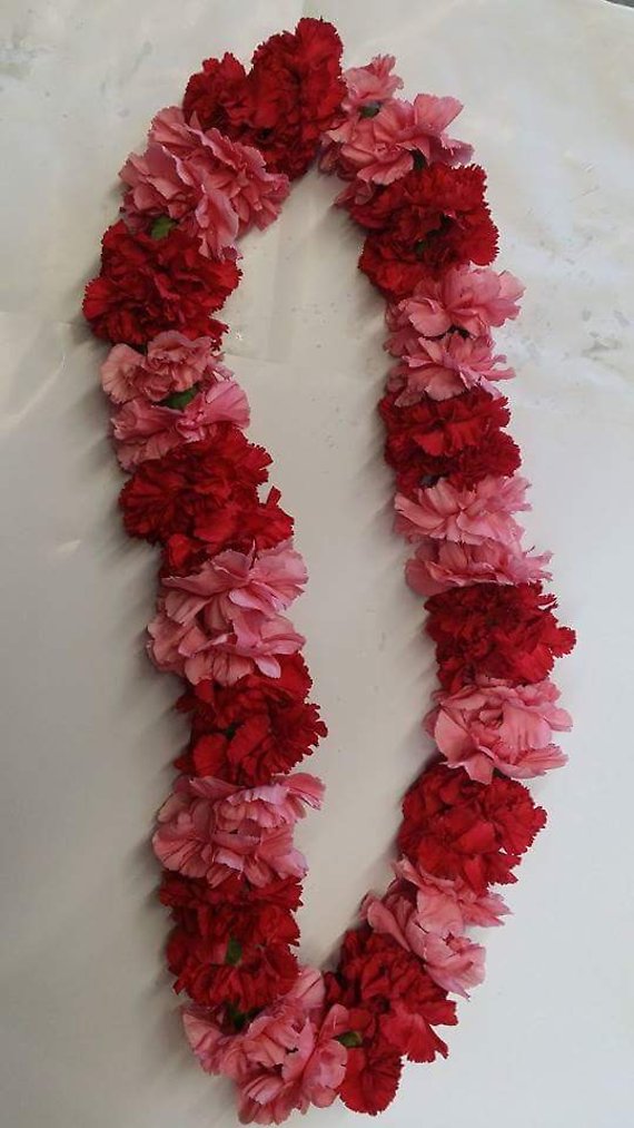 Red and Pink carnation lei