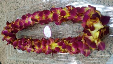Sunset orchid lei