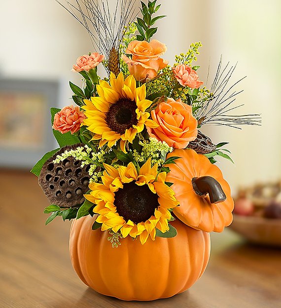 Pumpkin n’ Posies