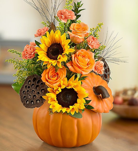 Pumpkin n’ Posies