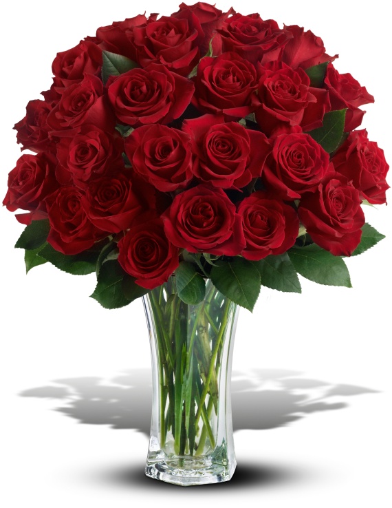 Love and Devotion - 3 dozen red roses