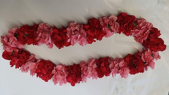 Red and Pink carnation lei