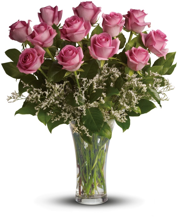 Make Me Blush - Dozen Long Stemmed Pink Roses