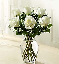 Love\'s Embrace Roses White