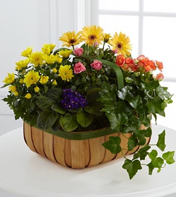 The Gentle Blossoms Basket